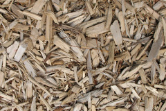 biomass boilers Guyhirn